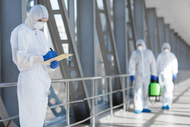 Best Water Damage & Mold Remediation  in Bay City, MI