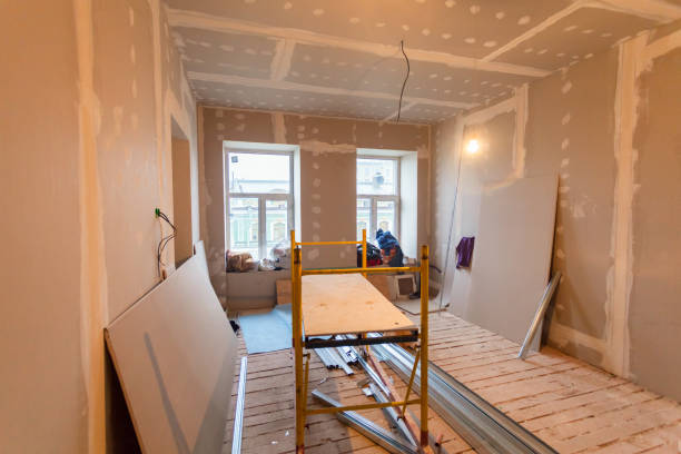 Best Black Mold Removal  in Bay City, MI